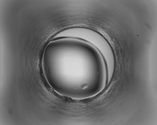 X0000113030201200908271502