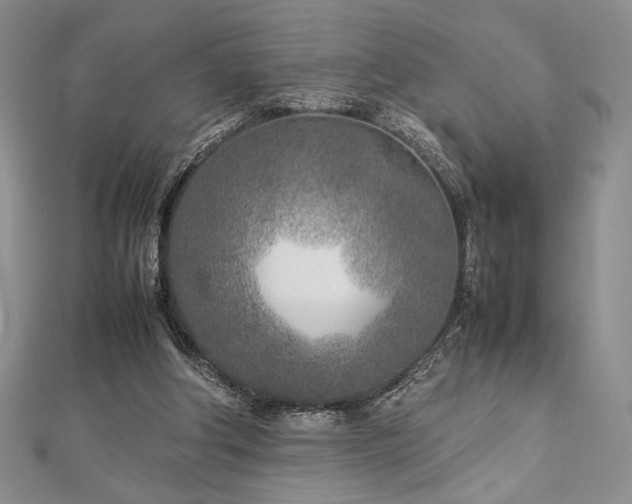 X0000113030202200908271502