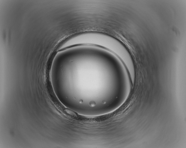 X0000113030203200908271502