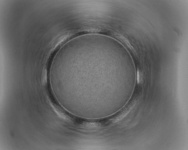 X0000113030205200908271502