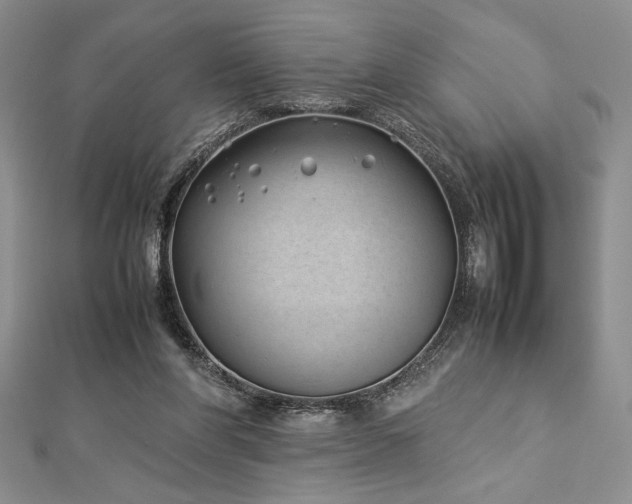 X0000113030206200908271502