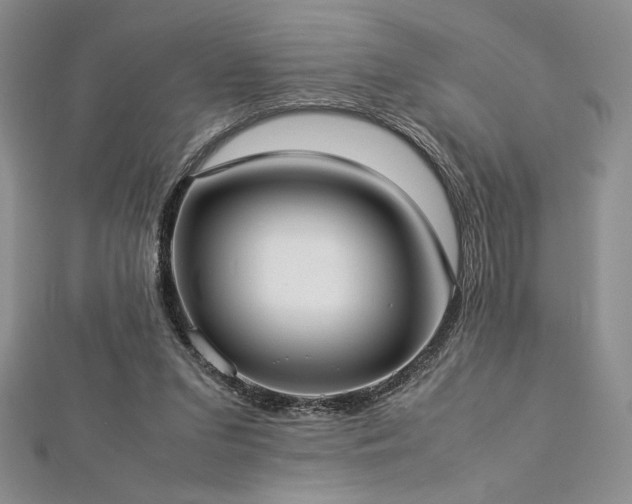 X0000113030207200908271502