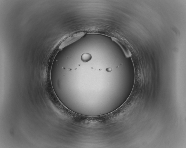 X0000113030208200908271502