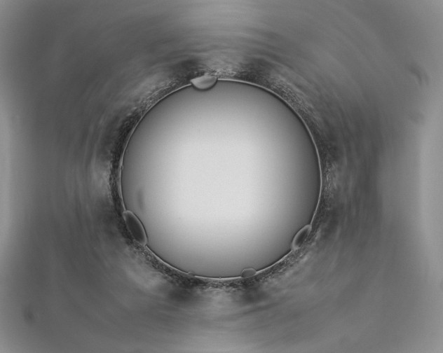 X0000113030209200908271502