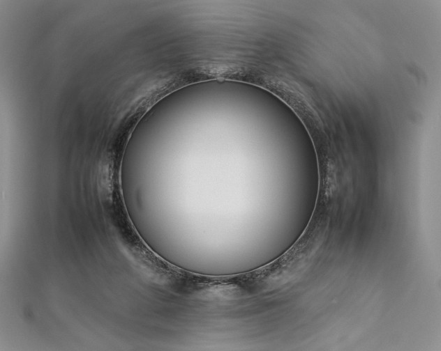 X0000113030210200908271502