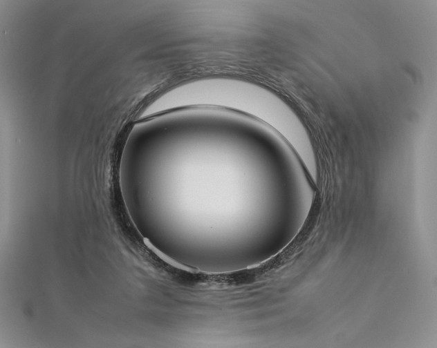 X0000113030211200908271502