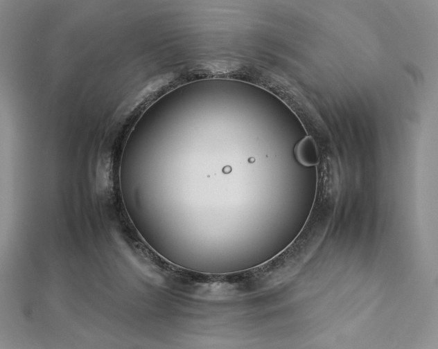 X0000113030212200908271502