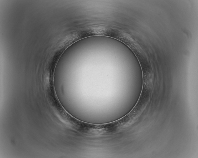 X0000113030213200908271502