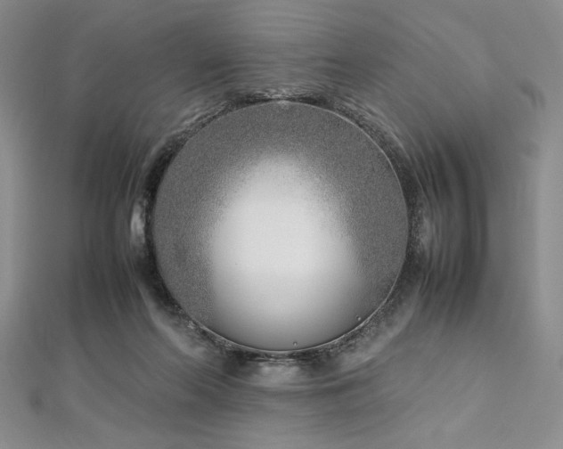 X0000113030214200908271502