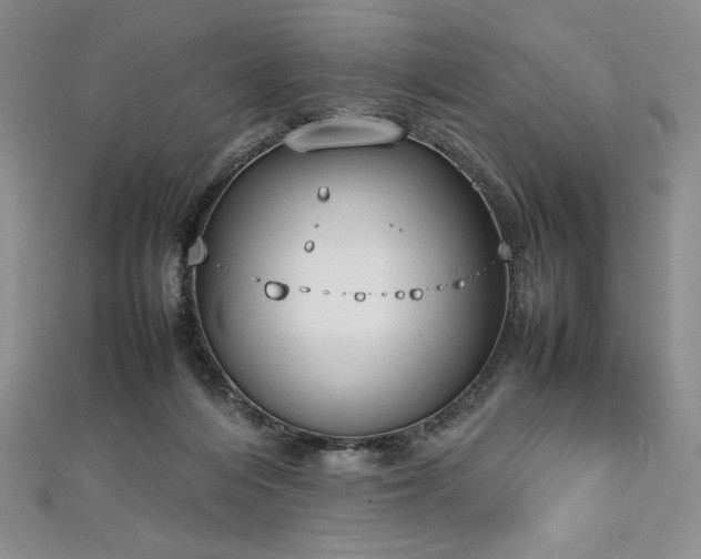 X0000113030216200908271502