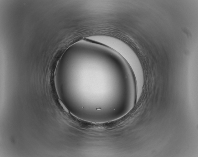 X0000113030217200908271501