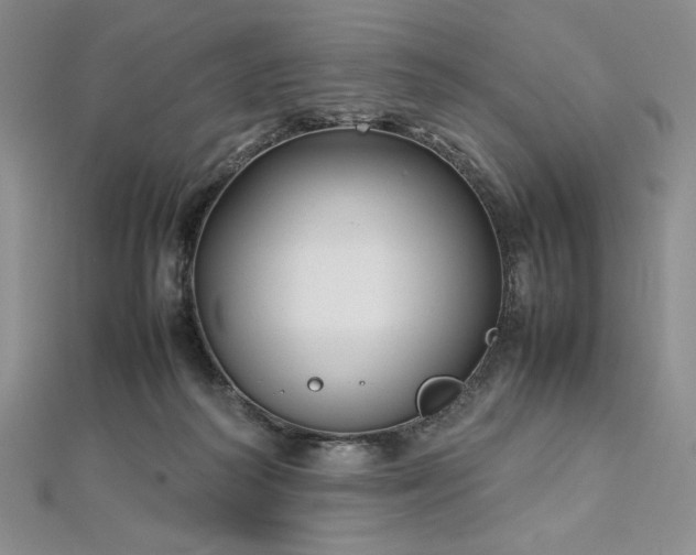 X0000113030218200908271501