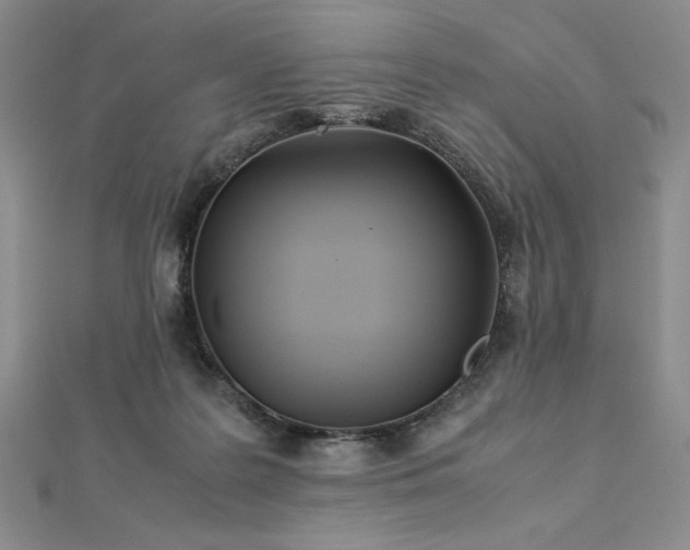 X0000113030219200908271501