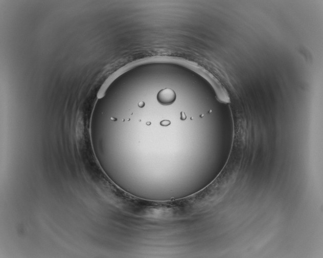 X0000113030220200908271501