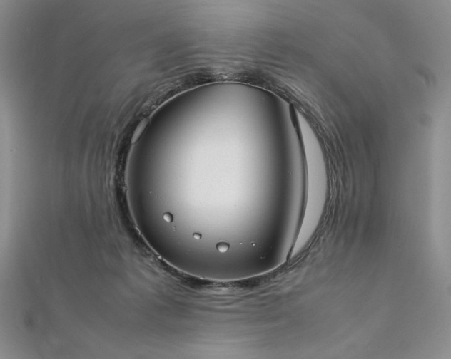 X0000113030221200908271501