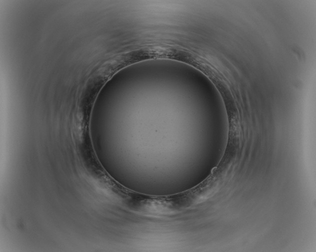 X0000113030223200908271501