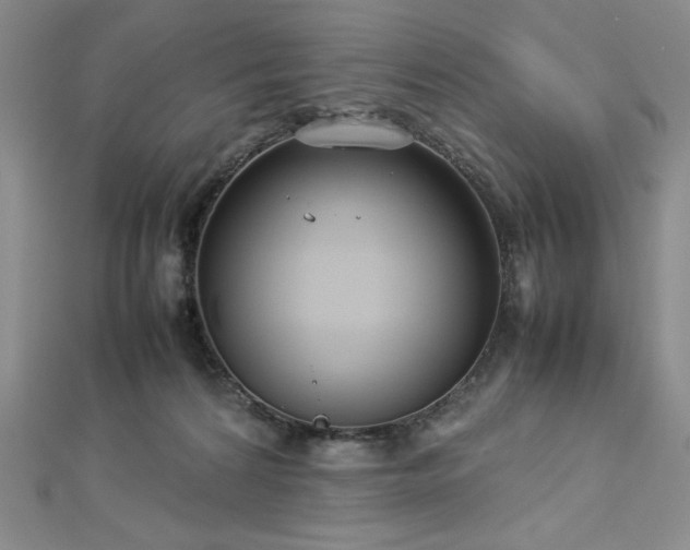 X0000113030224200908271501