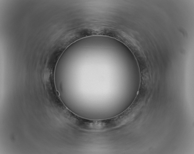 X0000113030225200908271501