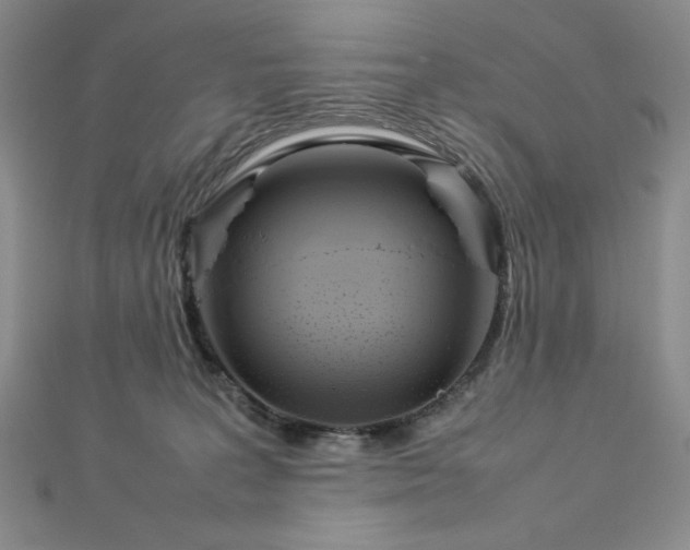 X0000113030227200908271501