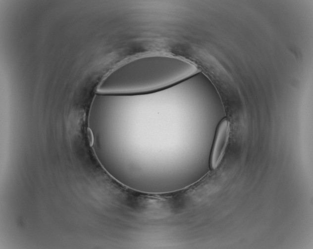 X0000113030229200908271501