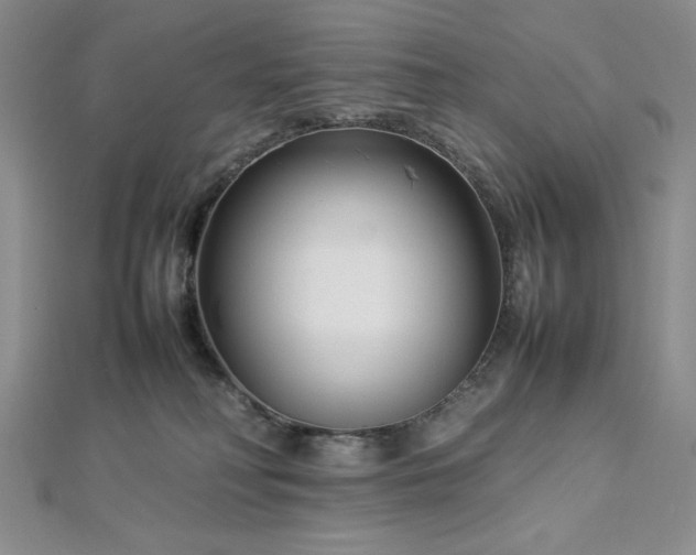 X0000113030230200908271501