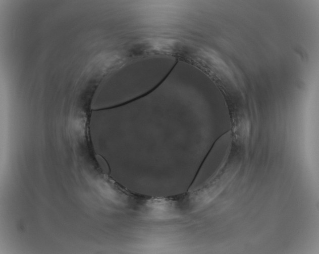 X0000113030231200908271501