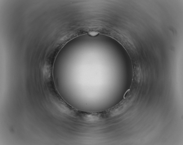 X0000113030232200908271501