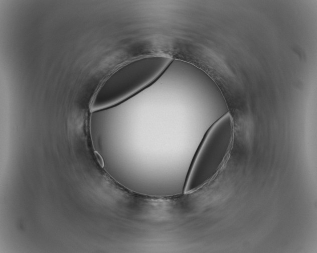 X0000113030233200908271501