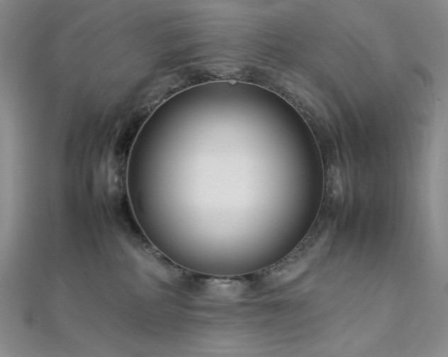 X0000113030234200908271501