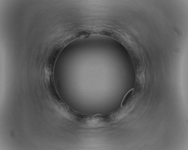 X0000113030235200908271501