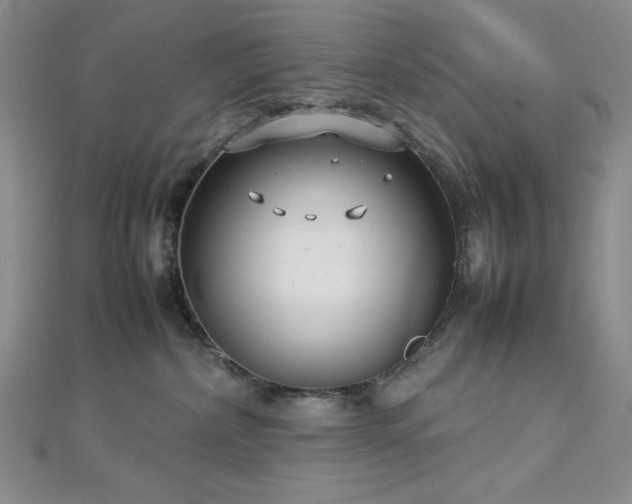 X0000113030236200908271501