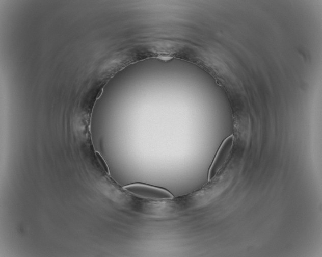 X0000113030237200908271501