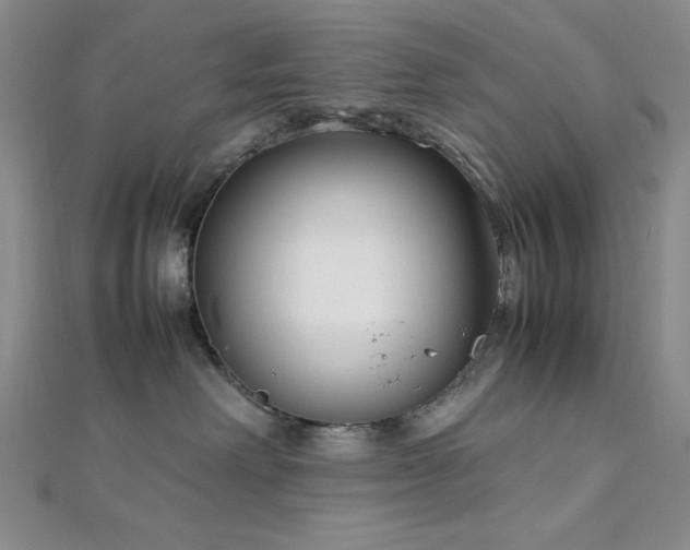 X0000113030238200908271501