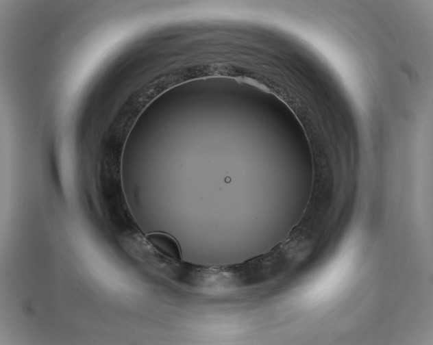 X0000113030239200908271501