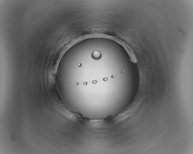 X0000113030240200908271501