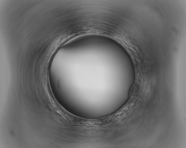 X0000113030241200908271501