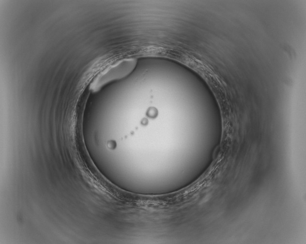 X0000113030242200908271501