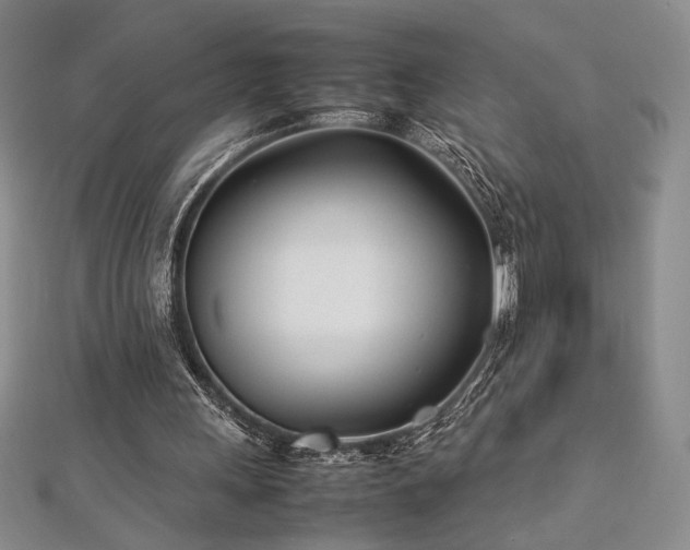 X0000113030243200908271501