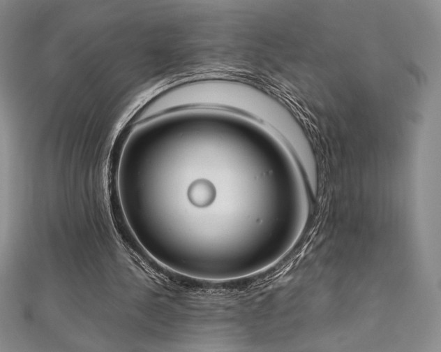 X0000113030244200908271501