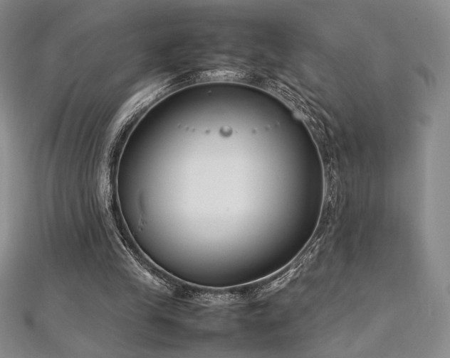 X0000113030245200908271501