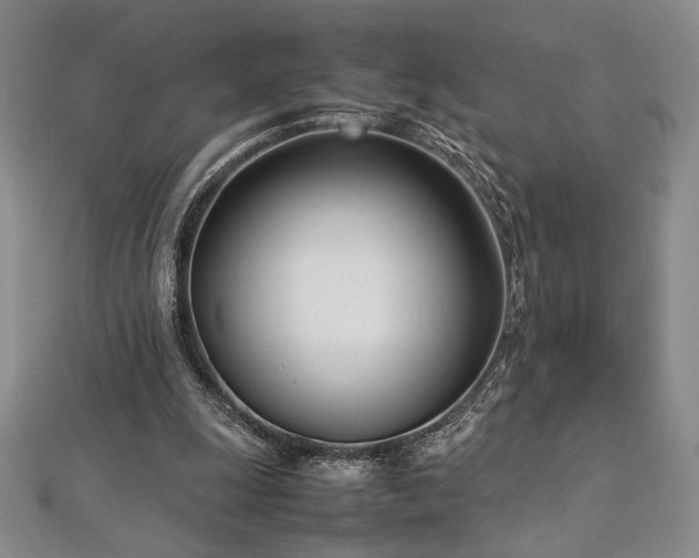 X0000113030247200908271501