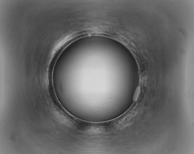 X0000113030248200908271501