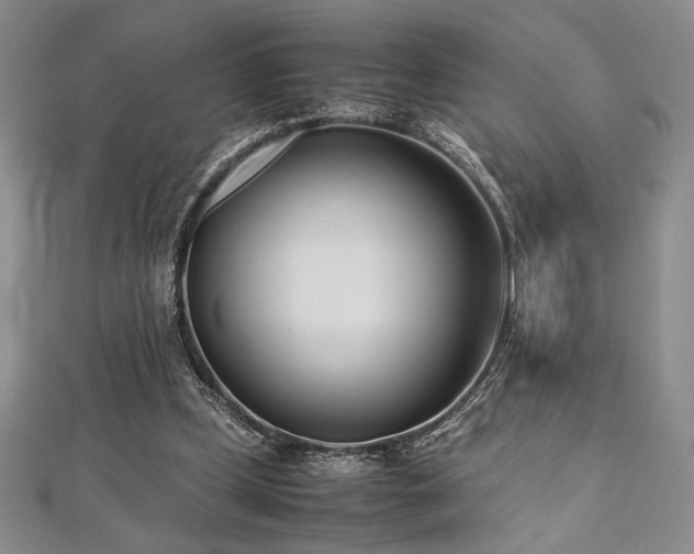 X0000113030249200908271501