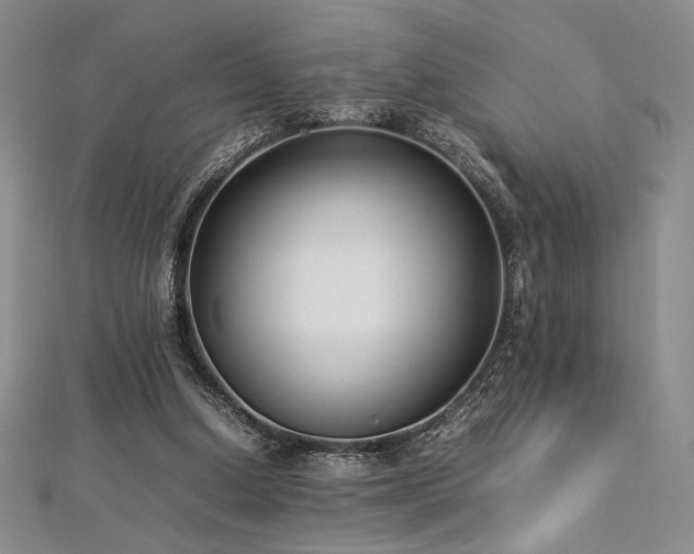 X0000113030250200908271501