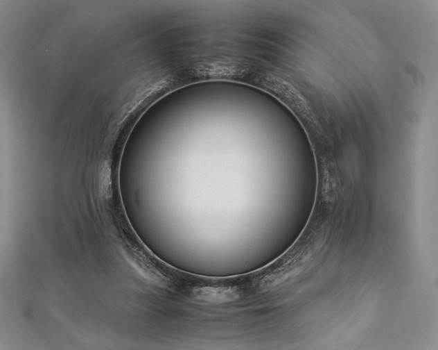 X0000113030251200908271501