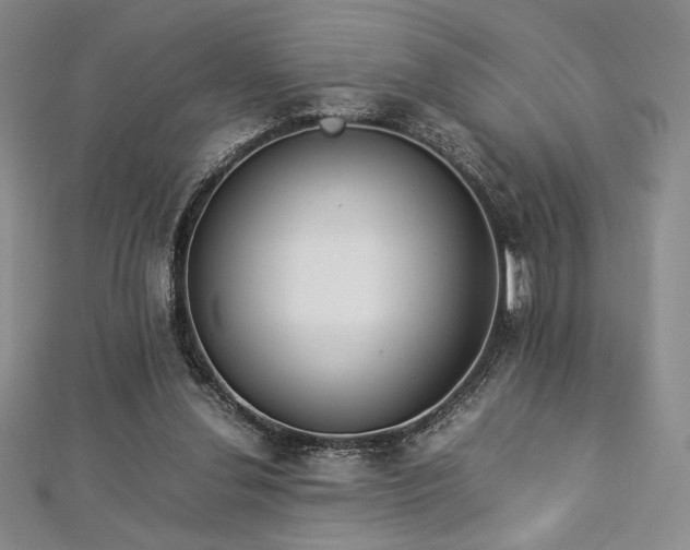 X0000113030252200908271501