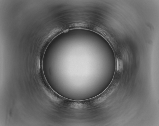 X0000113030253200908271501