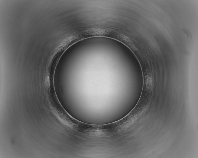 X0000113030254200908271501