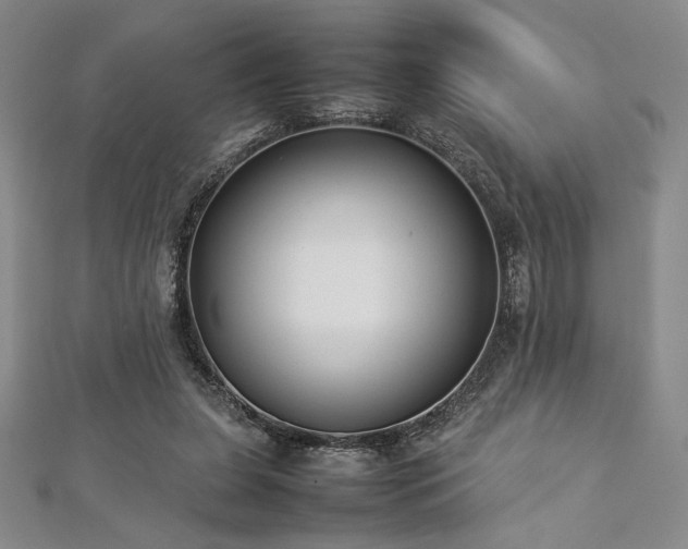 X0000113030255200908271501