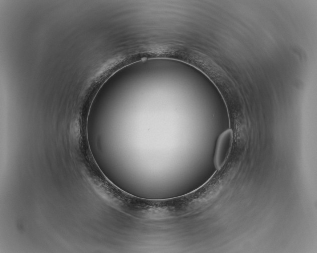 X0000113030256200908271501